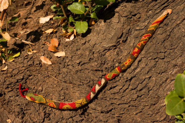 Curso Online, Renacer de la Serpiente 2025 - Imagen 3